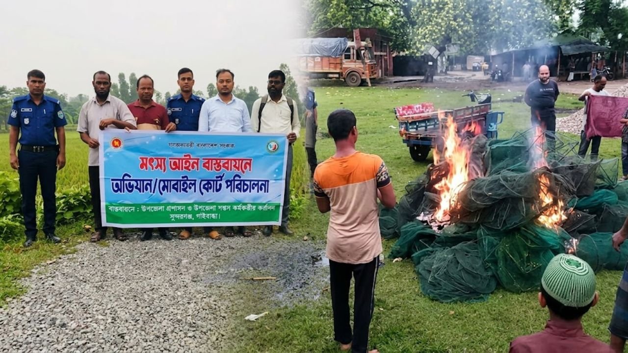 সুন্দরগঞ্জে মৎস্য বিভাগের অভিযান: ৩ হাজার ফুট কারেন্ট জাল ও পিরানহা উদ্ধার