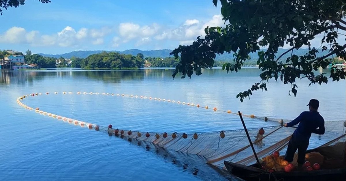 নিষেধাজ্ঞা শেষে কাপ্তাই হ্রদে শুরু মাছ আহরণ