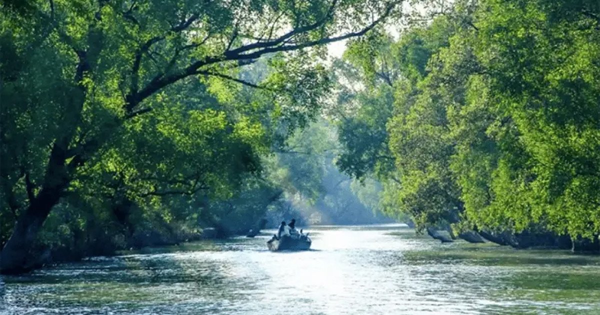 ৩ মাসের নিষেধাজ্ঞা শেষে ১ সেপ্টেম্বর খুলছে সুন্দরবনের দ্বার