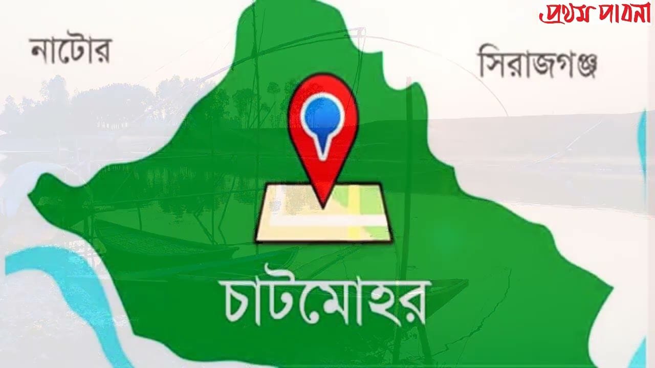 চাটমোহরে নাতনিকে ধ/র্ষ/ণে/র চেষ্টা