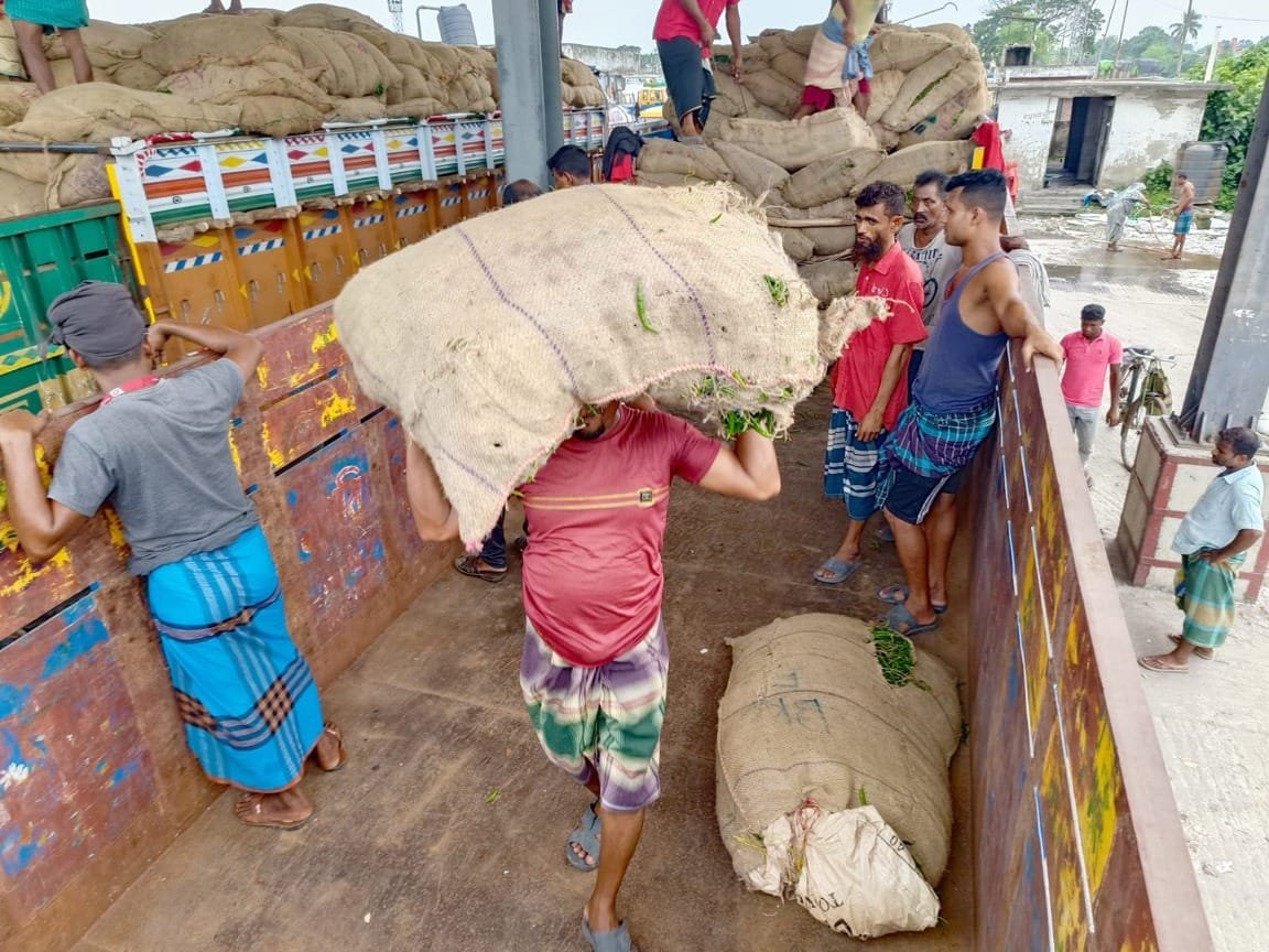 বেনাপোল দিয়ে ১০ দিনে ২৩৩ টন কাঁচা মরিচ আমদানি