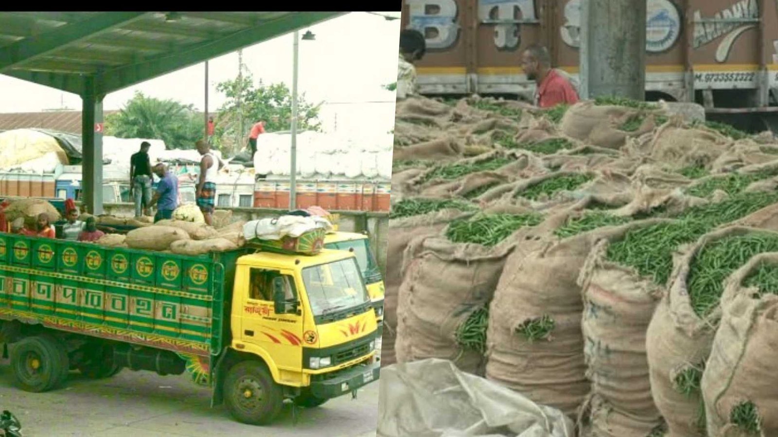 ভারত থেকে কাঁচা মরিচ আমদানি শুরু, বেনাপোলে এল প্রথম চালান