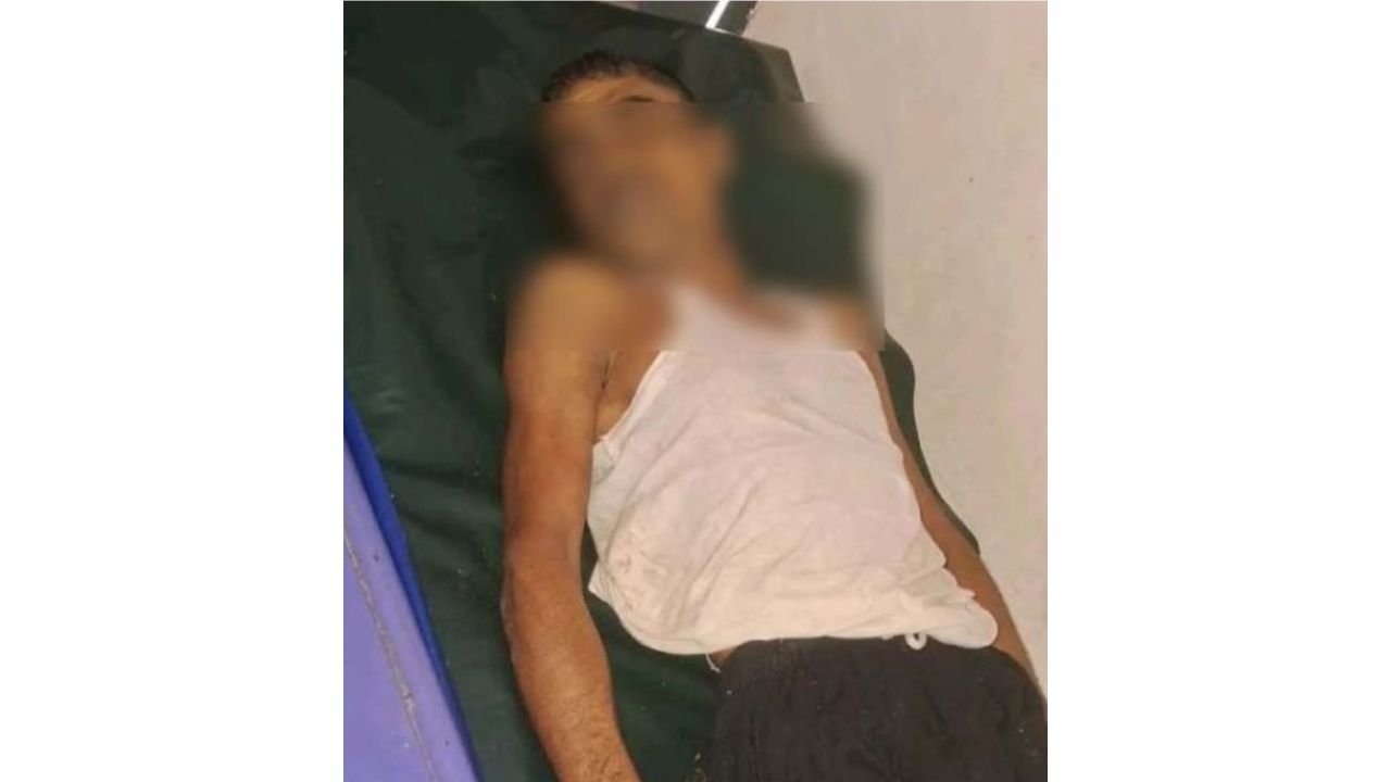 শার্শার নাভারনে গাছ থেকে পড়ে লন্ড্রি ব্যবসায়ীর মর্মান্তিক মৃত্যু