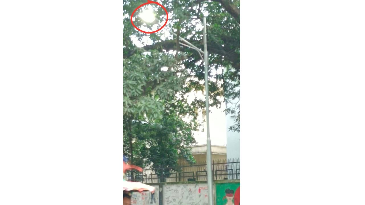 বিদ্যুৎ সংকটের মধ্যেও দিনের বেলায় জ্বলছে ঢাবি এলাকার সড়কবাতি