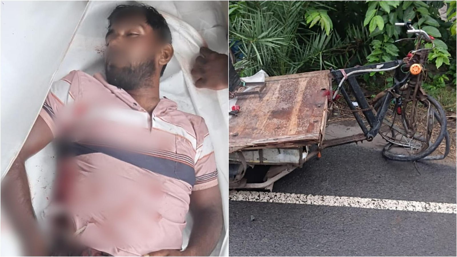 নাটোরে ত্রিমুখী সড়ক দুর্ঘটনায় শ্রমিক নিহত, আহত ২