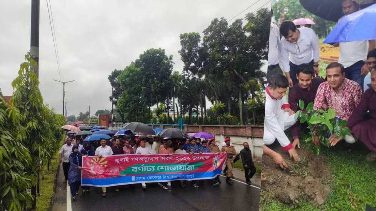 দফায় দফায় সংঘর্ষের পর বেরোবিতে ছাত্রদল-শিবিরের একসঙ্গে র‍্যালি ও বৃক্ষরোপণ