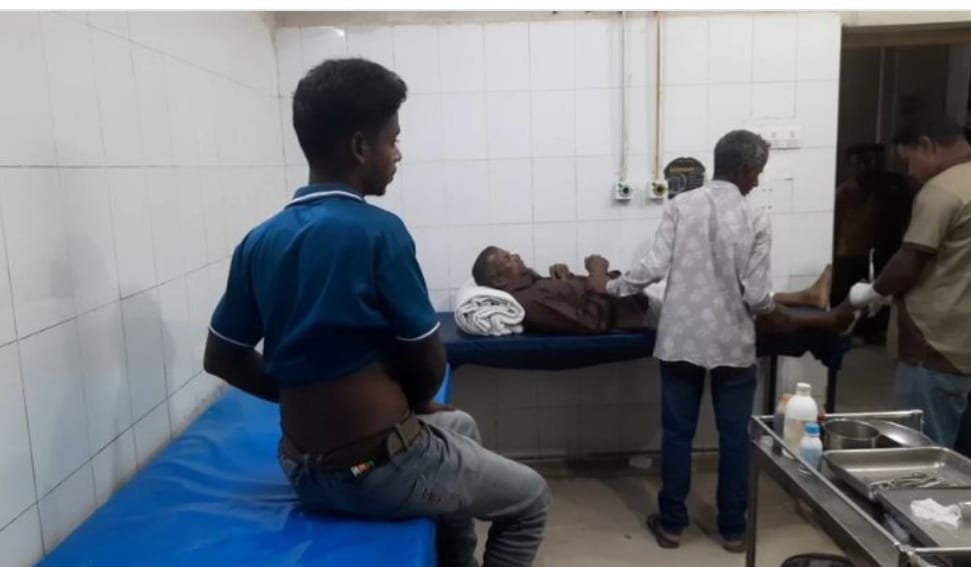 পঞ্চগড়ে বুনো শিয়ালের অতর্কিত আক্রমণে নারীসহ আহত ৭, এলাকায় আতঙ্ক