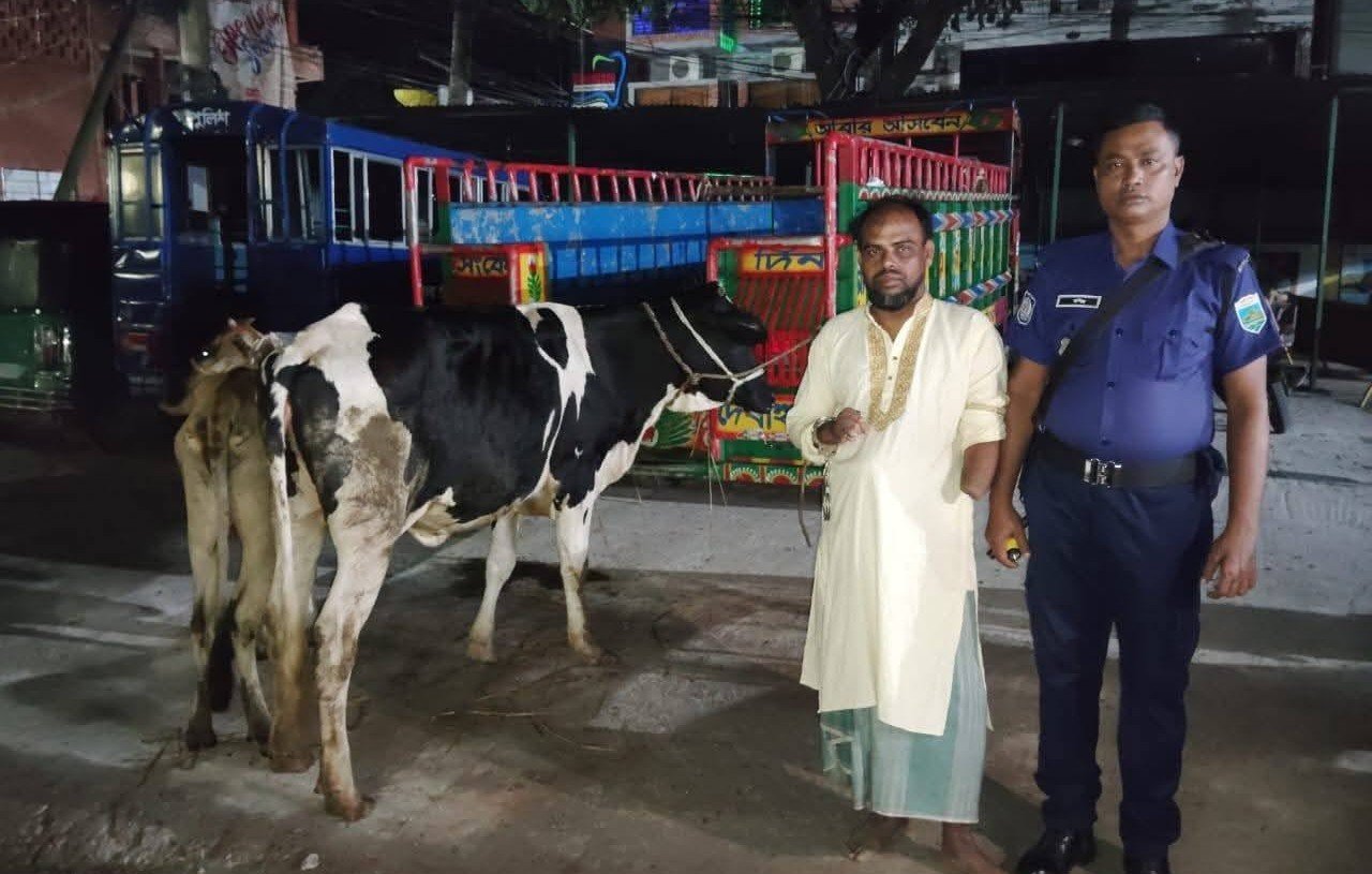 পাবনায় বাড়ির আন্ডারগ্রাউন্ডে চোরাই গরুর খামার, যুবদল কর্মী আটক