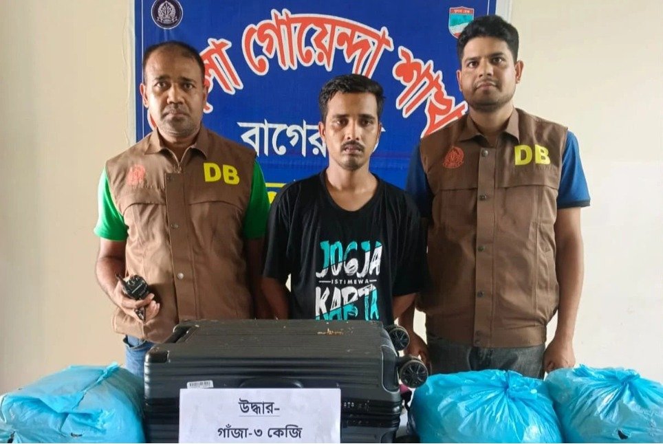 মাদকের চালান আটকে দিল ডিবি, ৩ কেজি গাঁজাসহ গ্রেপ্তার
