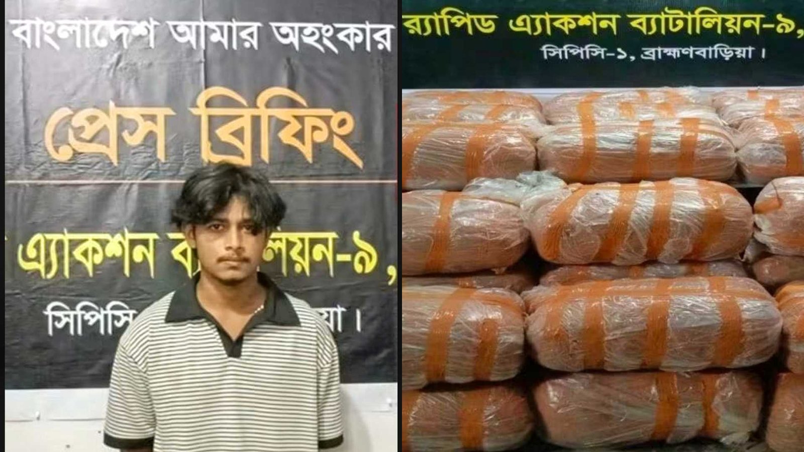 কসবায় পরিত্যক্ত ঘরের মাটির গর্তে ২৬৪ কেজি গাঁজা, র‍্যাবের অভিযানে গ্রেপ্তার ১