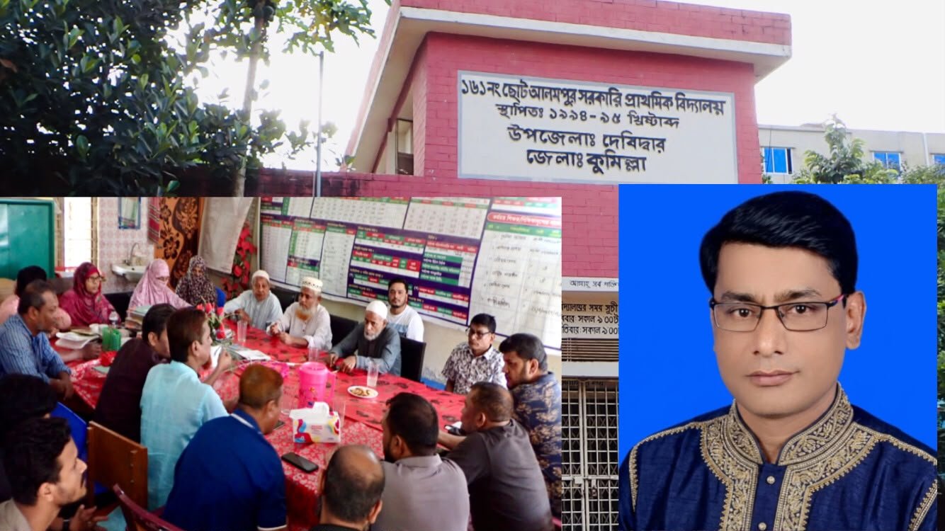 ছোট আলমপুর মধ্যপাড়া প্রাথমিক বিদ্যালয়ের সভাপতি মিজানুর রহমান মাস্টার