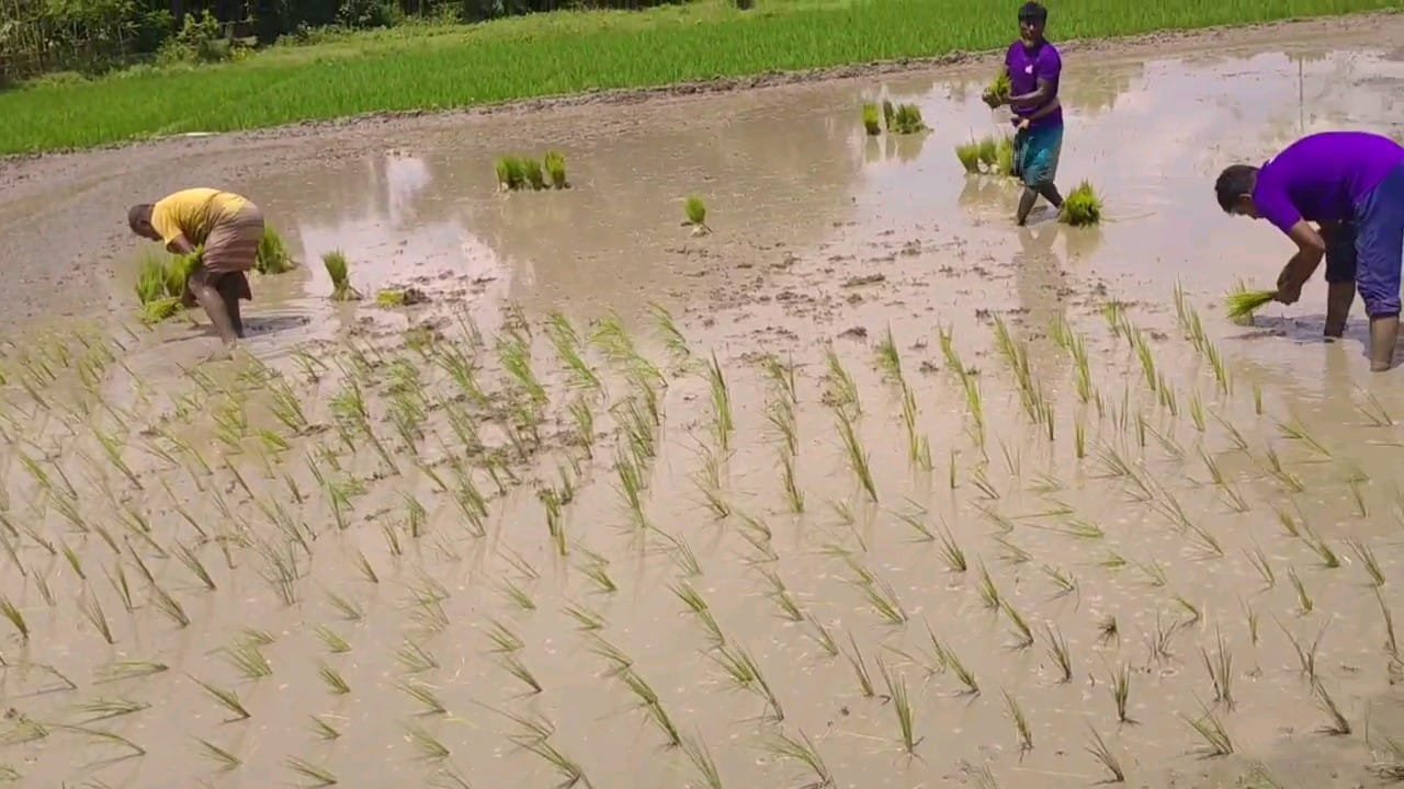 জমি কেটে ঘিরে ফের সংঘাতের মেঘ, রাজাগাঁওয়ে আতঙ্কে এলাকাবাসী