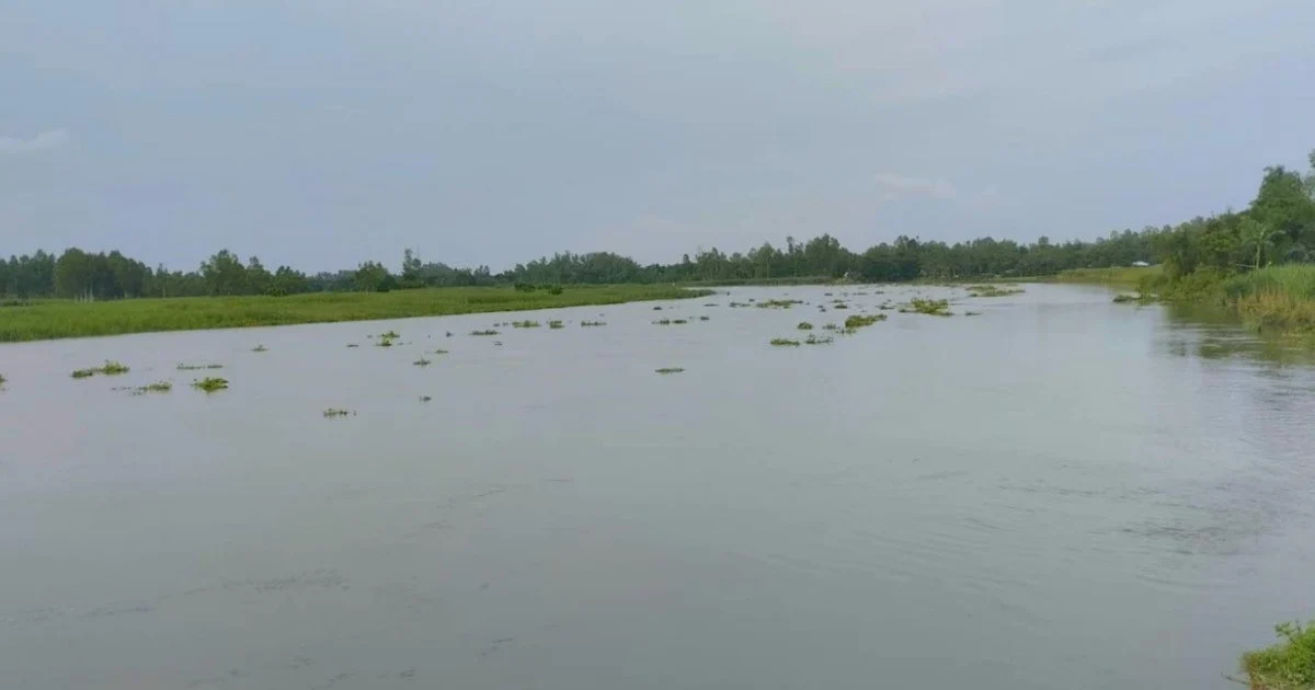 নদ-নদীর পানি বাড়ায় তিন জেলায় বন্যার আশঙ্কা: পাউবো