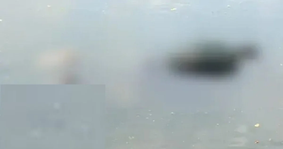 ধানমন্ডি লেক থেকে ভাসমান মরদেহ উদ্ধার