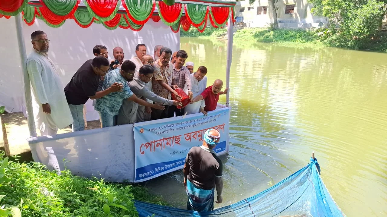 মণিরামপুরে ১৬ জলাশয়ে ৩৪৫ কেজি পোনা মাছ অবমুক্ত