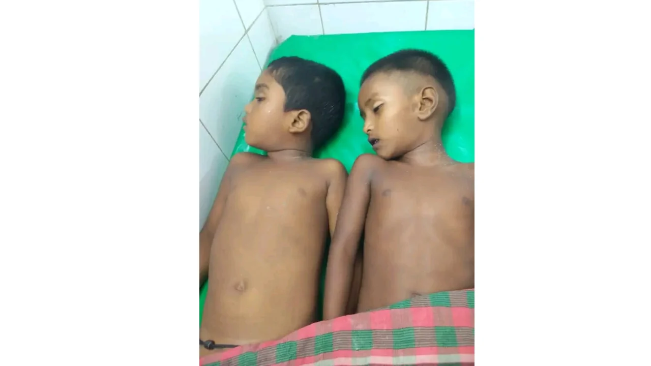 চাটমোহরে পুকুরে ডুবে দুই শিশুর মৃত্যু