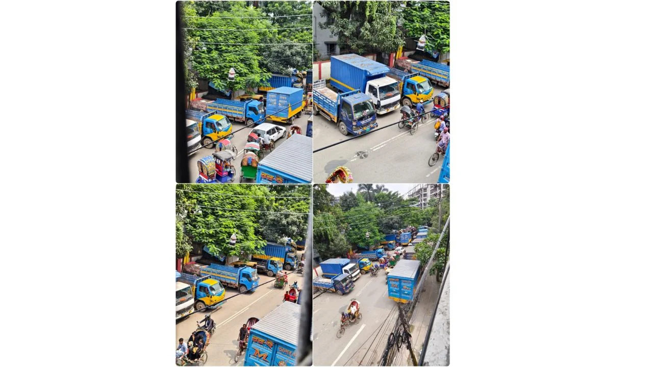 সাতরাস্তা-বেগুনবাড়িতে সড়কজুড়ে অবৈধ ট্রাক পার্কিং, যানজটে অতিষ্ঠ নগরবাসী