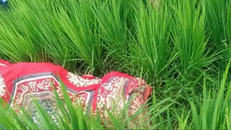 ধানখেত থেকে চা দোকানি নারীর মরদেহ উদ্ধার
