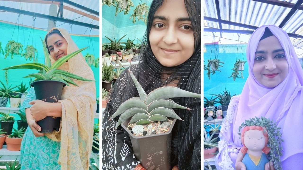 এক হাজার টাকার শখ থেকে মাসে লাখ টাকা আয়, সফল নারী উদ্যোক্তা রাখি