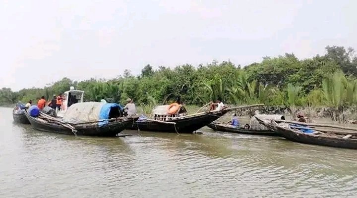 তিন মাস পর খুলছে সুন্দরবন, দস্যু ও চাঁদাবাজির আতঙ্কে বনজীবীরা