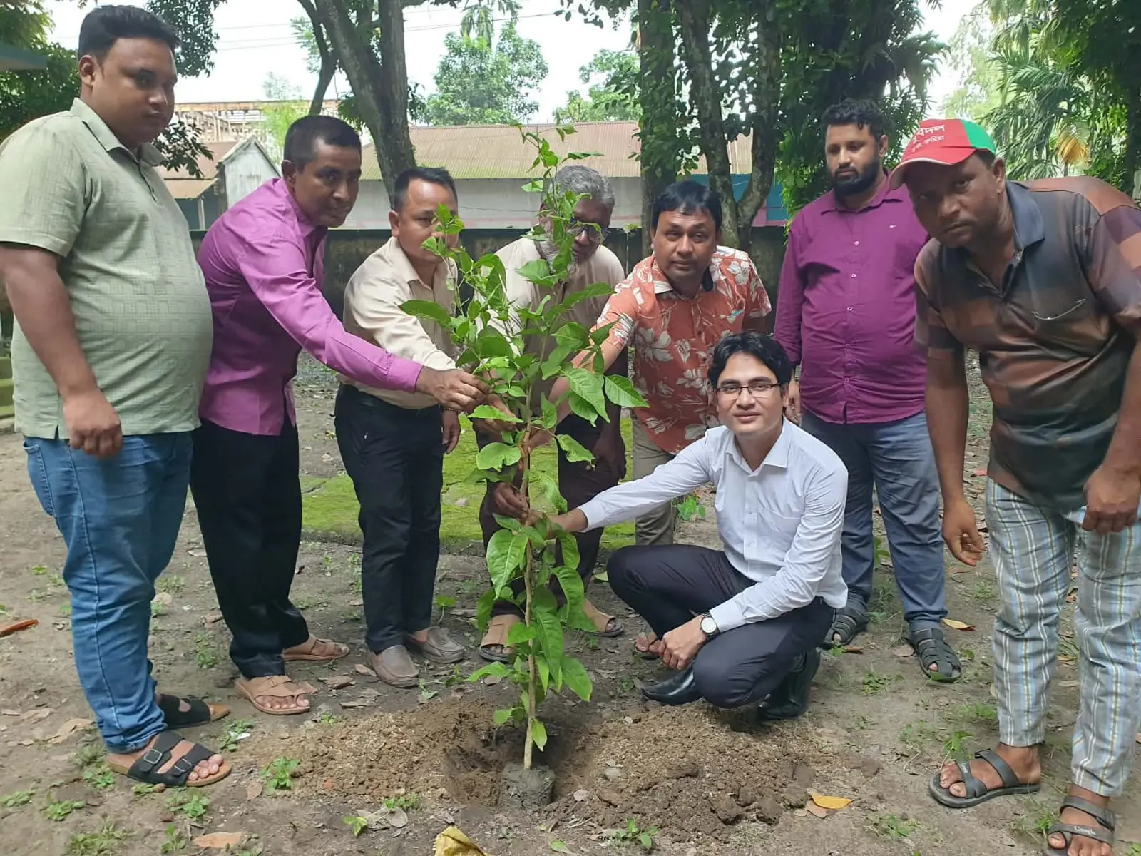 রুহিয়ায় গাছের চারা বিতরণ, অস্থায়ী উপজেলা কার্যালয়ে বৃক্ষরোপণ