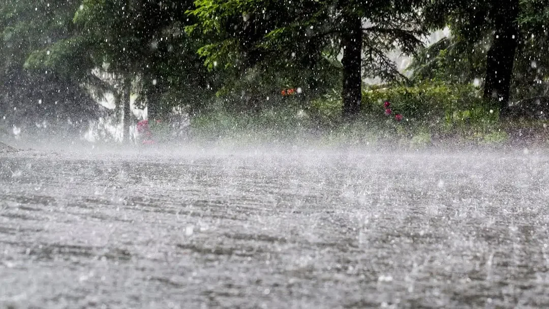 ৫ বিভাগে ভারী বৃষ্টির সতর্কতা, জলাবদ্ধতার শঙ্কা