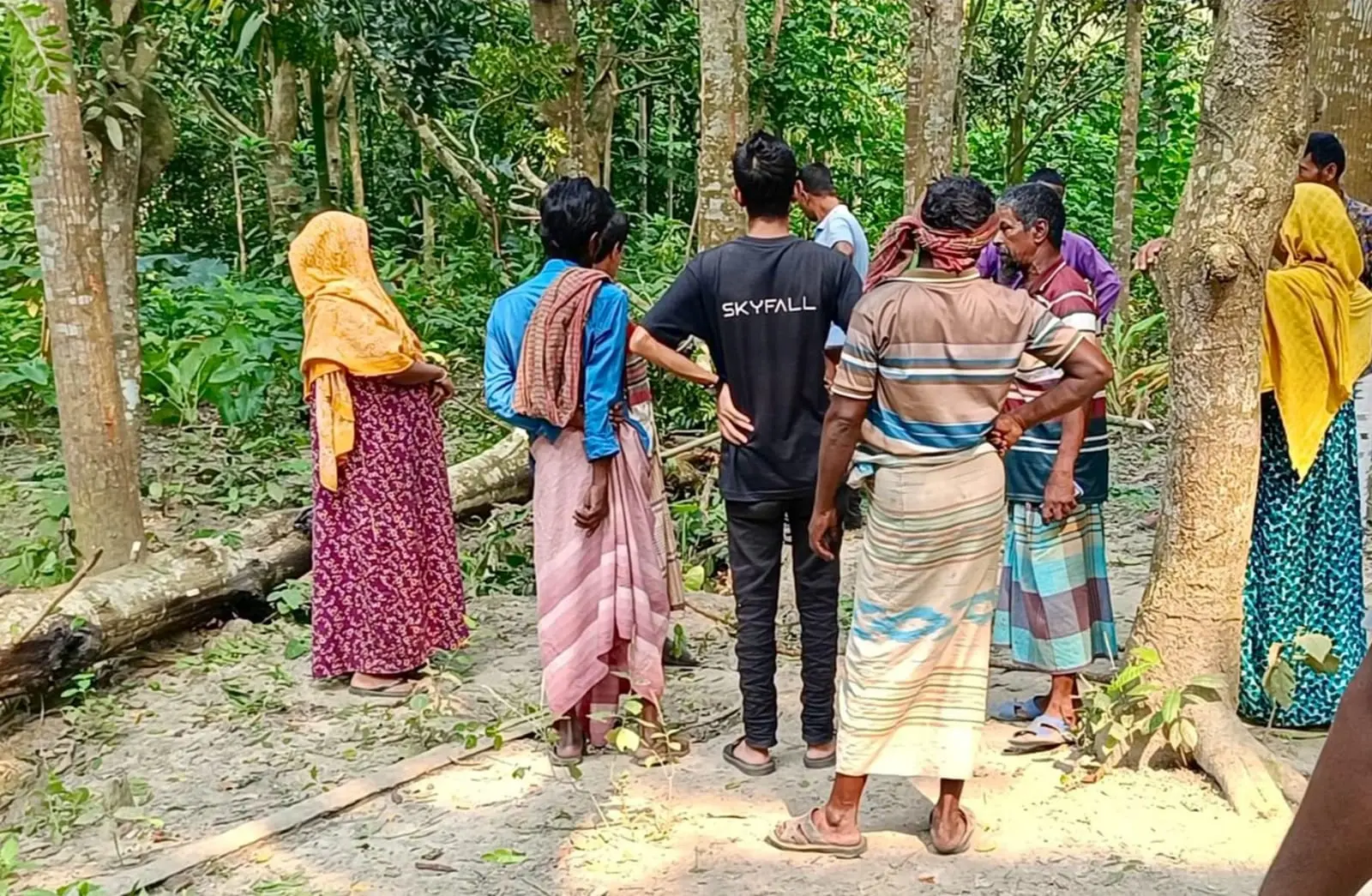 চাটমোহরে গাছ কাটতে গিয়ে প্রাণ গেল দিনমজুরের
