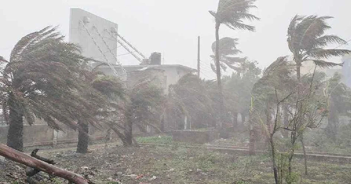 বঙ্গোপসাগরে নতুন লঘুচাপের আভাস, ৪ বিভাগে বৃষ্টির শঙ্কা