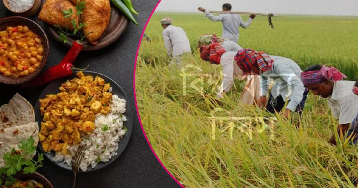 বিশ্ব খাদ্য দিবস আজ, জলবায়ু ও সংঘাতে বাড়ছে ক্ষুধার ঝুঁকি