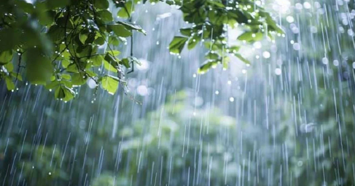 বৃষ্টি কবে হতে পারে, জানাল আবহাওয়া অধিদপ্তর