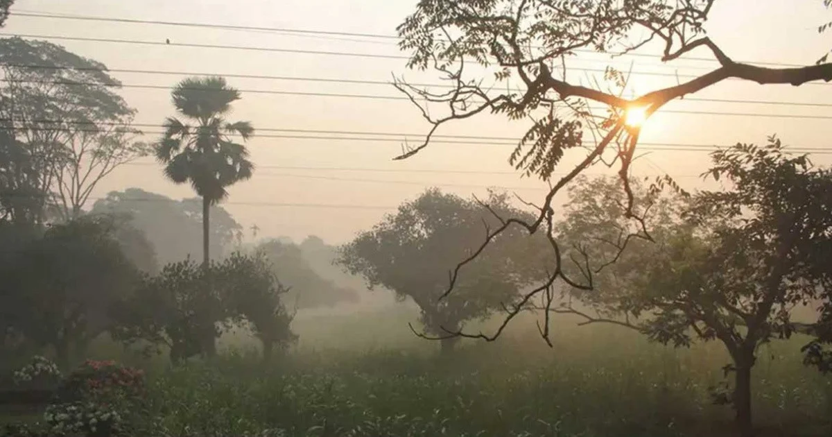 পঞ্চগড়ে কড়া নাড়ছে শীত