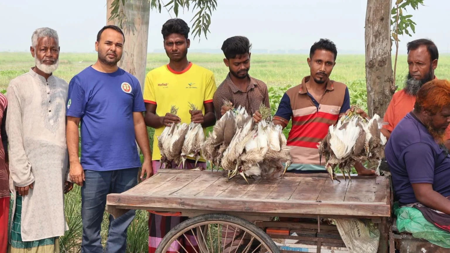 নাটোরে ৫০ বক জবাই, তিন পাখিশিকারির কারাদণ্ড