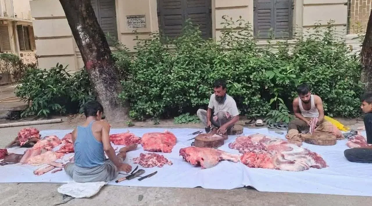 নিষেধাজ্ঞার প্রতিবাদে জবির ভিসি ভবনের পাশেই গরু জবাই