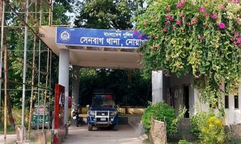 নোয়াখালীতে সবজি আনতে গিয়ে বিদ্যুৎপৃষ্টে নারীর মৃত্যু, মেয়ে আহত