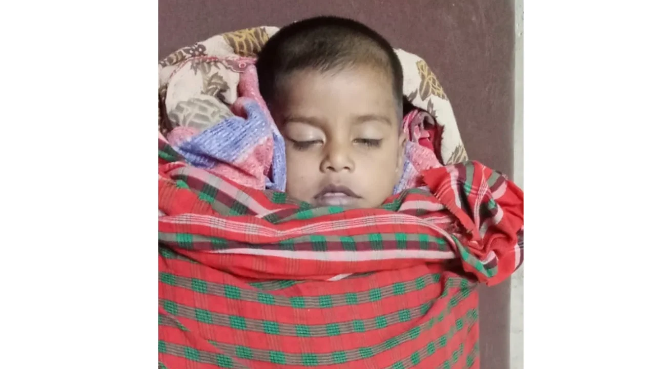 মোল্লাহাটে পুকুরে ডুবে দুই বছরের শিশু শ্রদ্ধার মৃত্যু