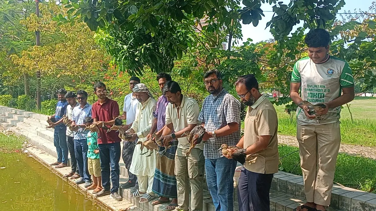 পাবিপ্রবির লেকে ১৪টি পাতি সরালি হাঁস অবমুক্ত করল পাখিপ্রেমীরা