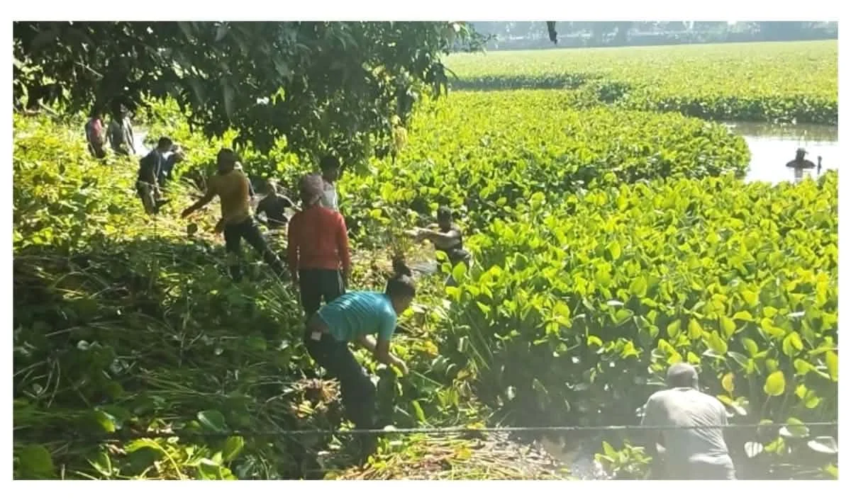 বাগমারায় গাওড়া বিলে মৎস্য চাষ প্রকল্প ভণ্ডুলের চেষ্টার অভিযোগ