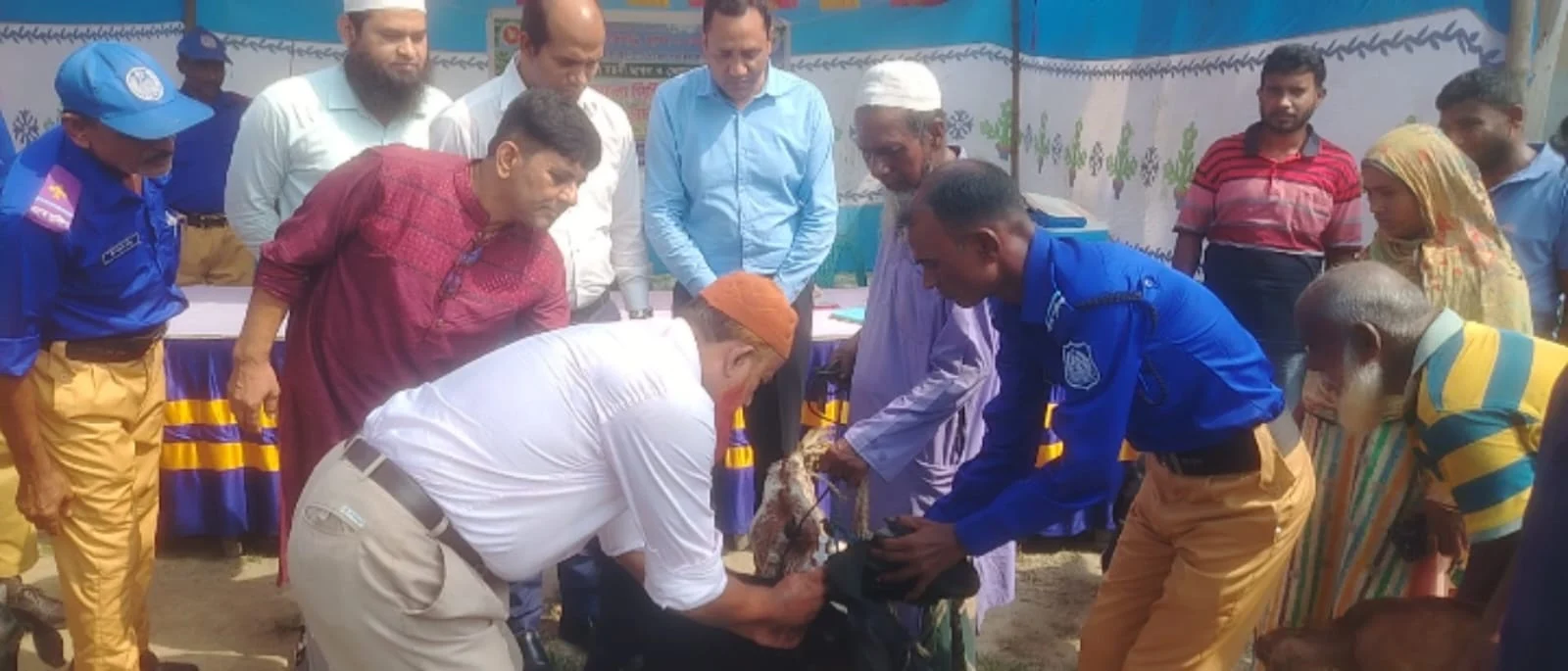 পলাশবাড়ীতে ছাগল-ভেড়াকে বিনা মূল্যে পিপিআর টিকা