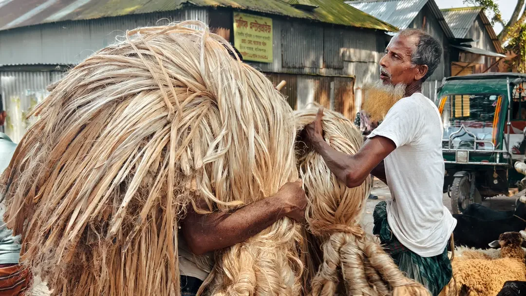 ৩০০ বছরের ঘিওর হাটে দিনে কোটি টাকার পাট বেচাকেনা