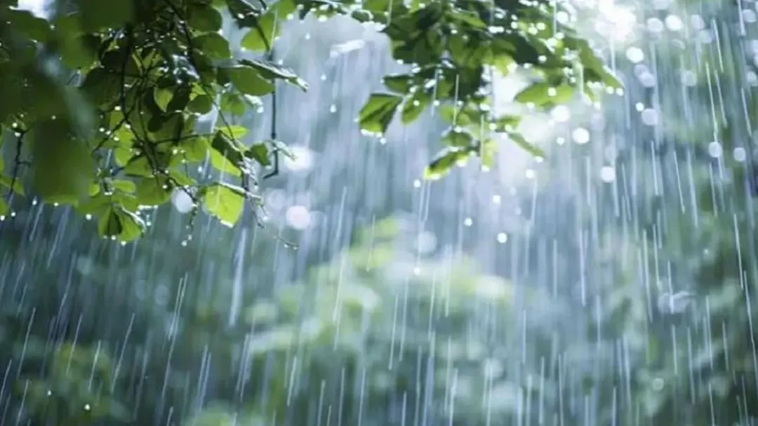 পাঁচ দিনের পর আরও বাড়তে পারে বৃষ্টি