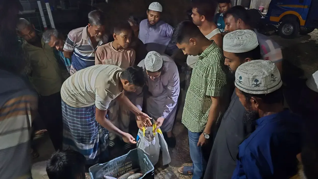 লক্ষ্মীপুরে ৯০ কেজি ইলিশ জব্দ, ২ জেলের জরিমানা
